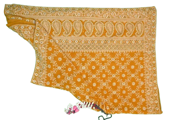 Chikankari Orange white thread colour saree