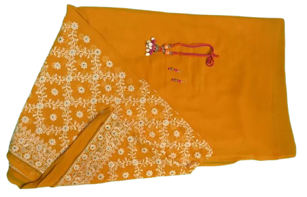 Chikankari Orange white thread colour saree - Image 3