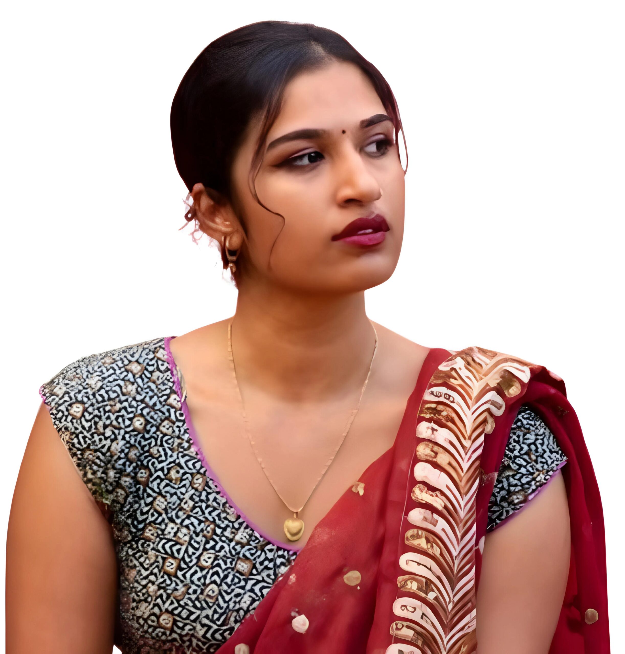 Brown Ajrak with Sun Flower Boat Neck embroidery Blouse - Image 4